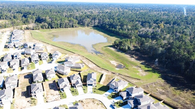 Building Photo - 247 Brazen Forest Trl