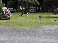 Building Photo - 1/2 off 1st Month's Rent ! Country Setting Single Wide Manufactured Home Silverbrook RV Park