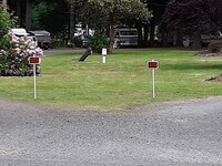 Building Photo - Country Setting Single Wide Manufactured H...