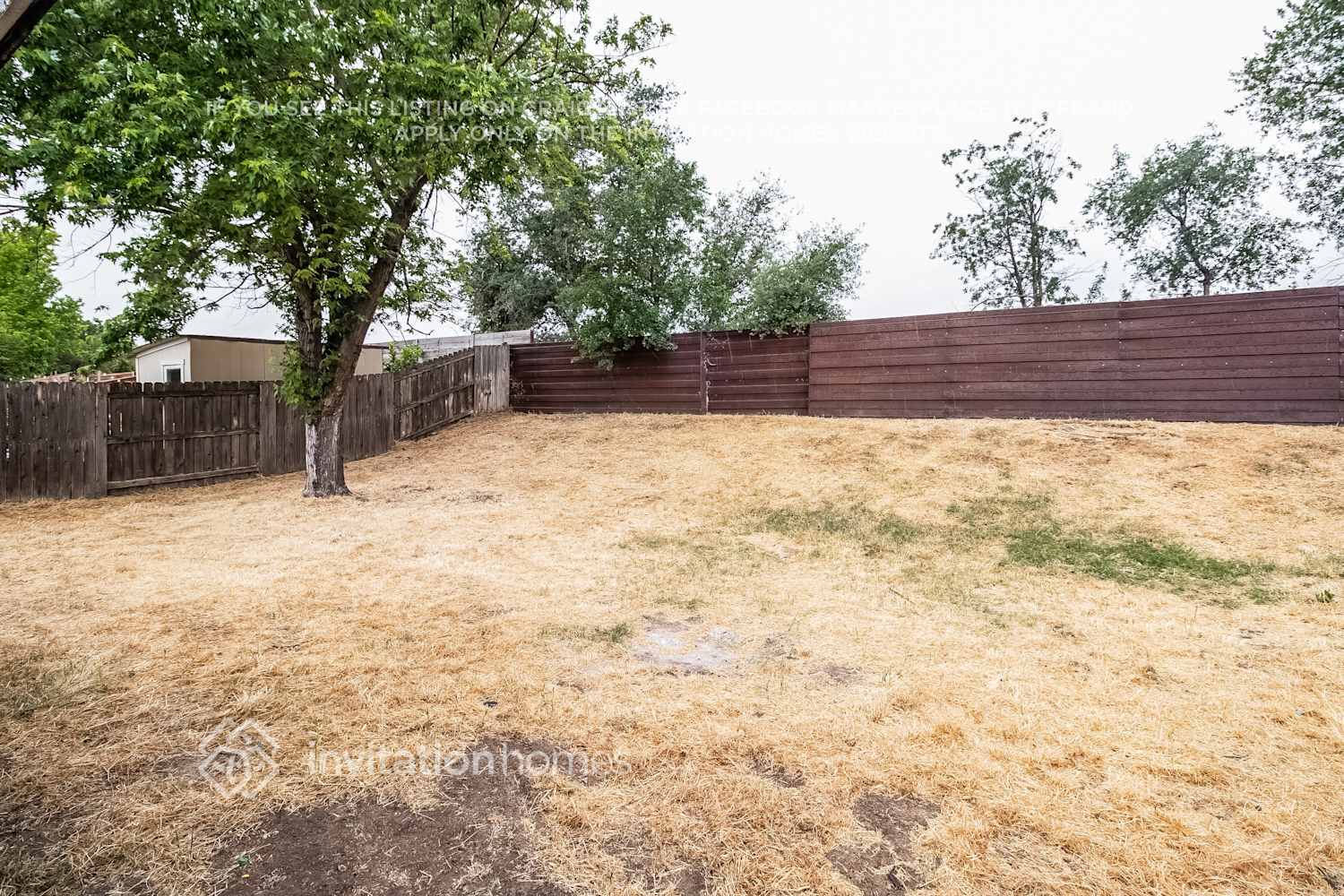 Building Photo - 4932 Buffwood Way