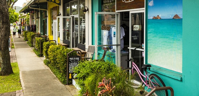 Kailua town is a comfortable walk of 10 minutes away - 244 Awakea Rd