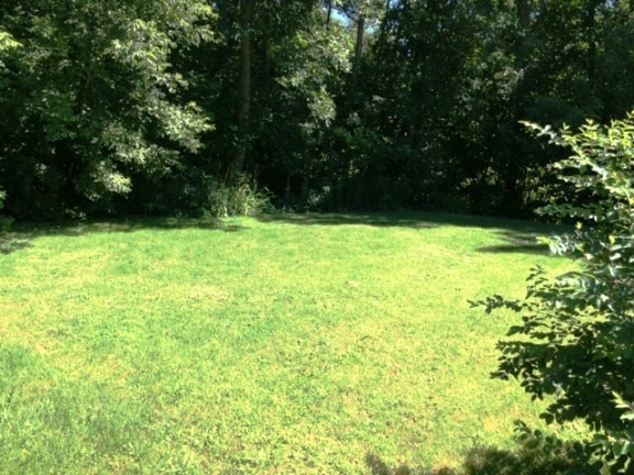 Private back yard - 1105 W North Water St