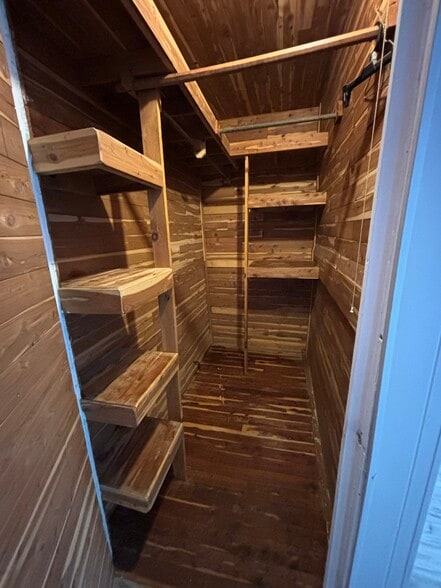 Cedar walk in closet - 39 Cleveland St