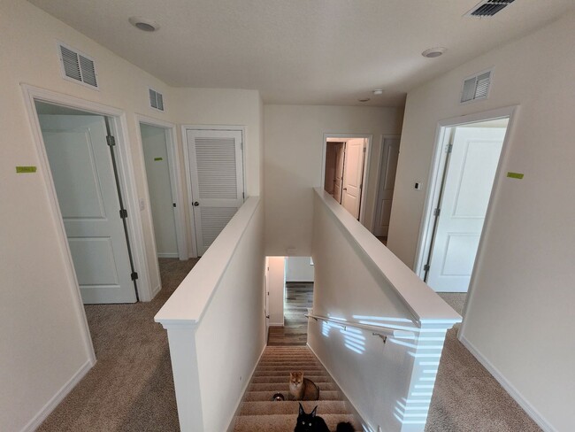 Building Photo - 5242 Scrub Mint Ln