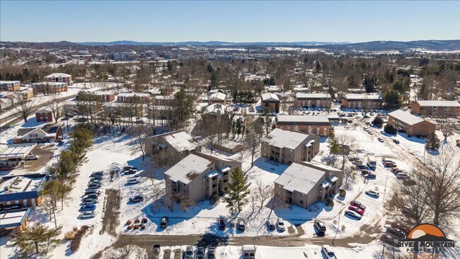 Building Photo - Large Efficiency minutes from Virginia Tech