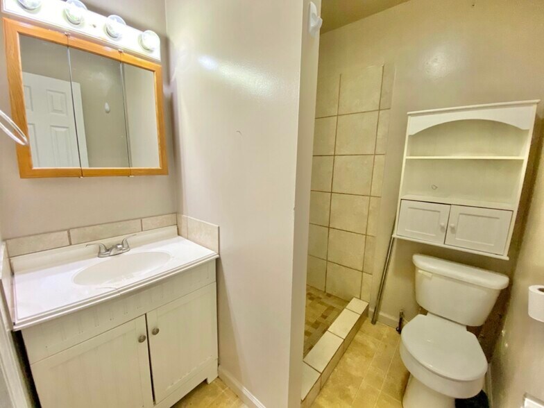 bathroom - 407 E Lincoln St