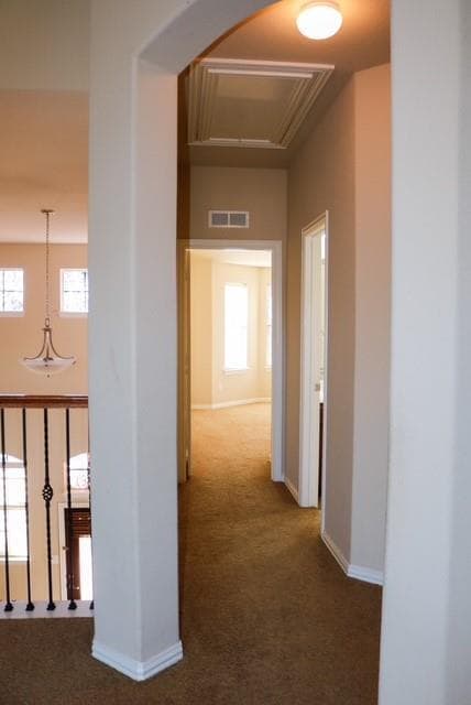 Building Photo - 1404 Harvest Bend Ln