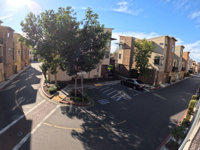 Building Photo - 3291 Berryessa St