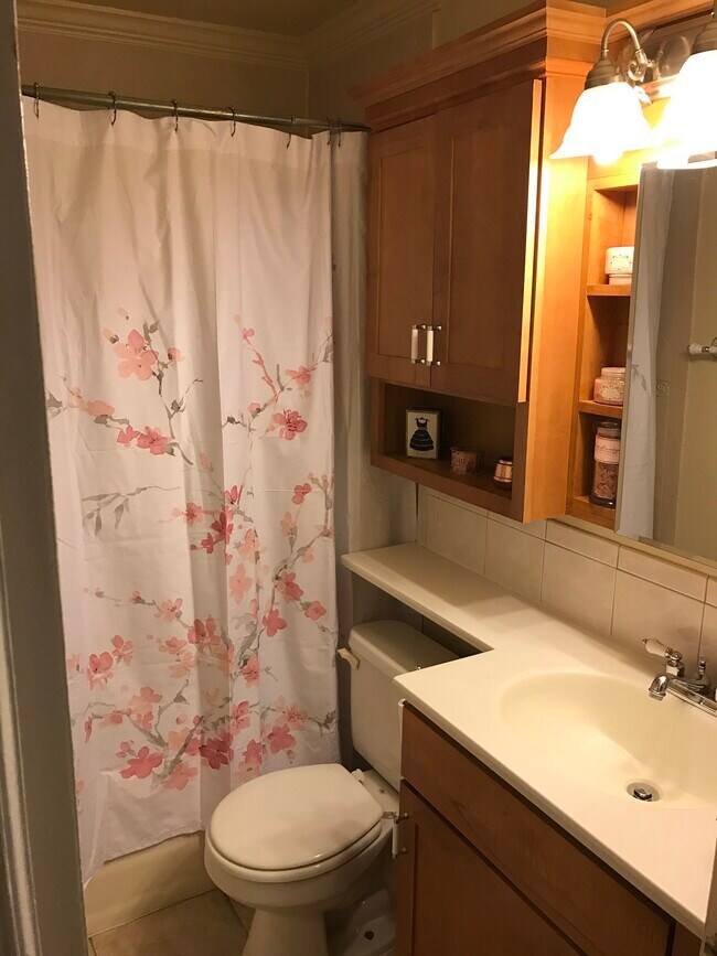 bathroom - 2 S Lowell Blvd