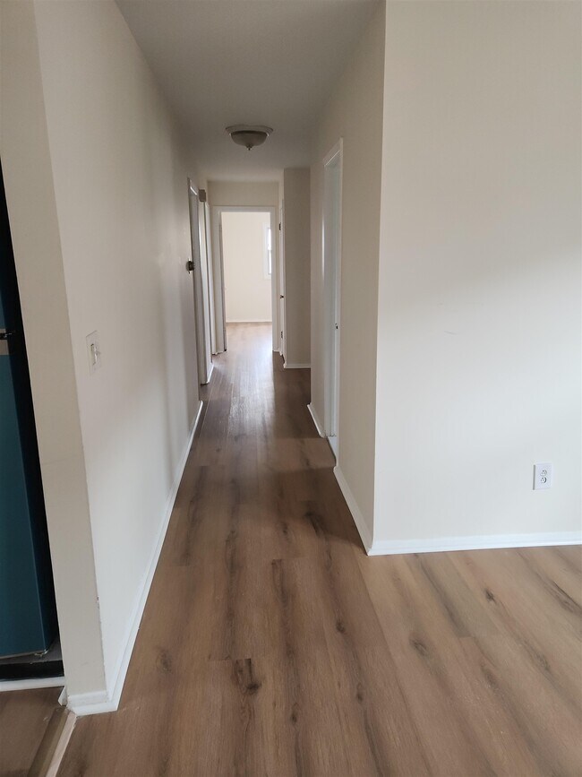 Building Photo - 71 Linnet St