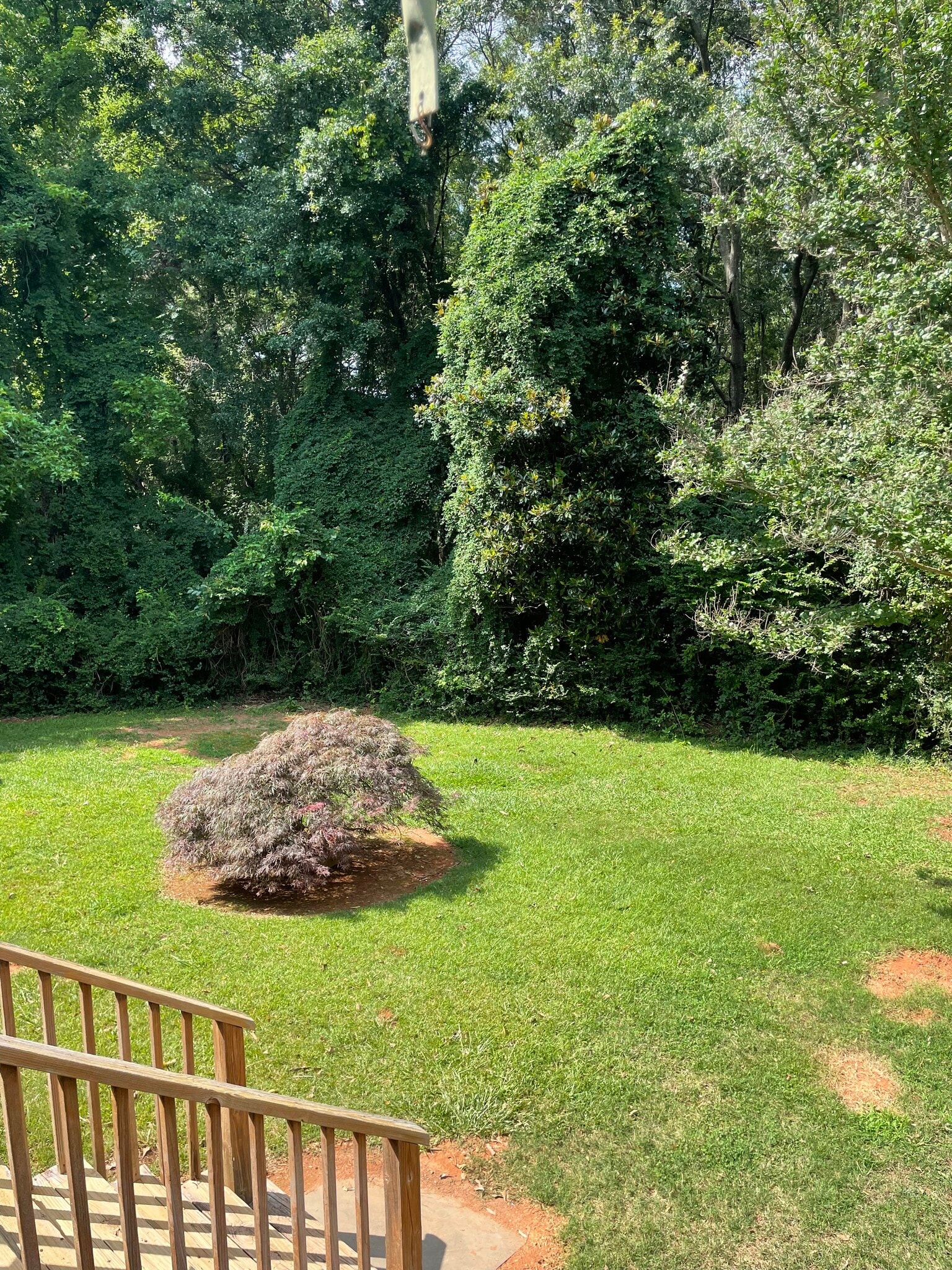 Building Photo - 292 Timothy Rd