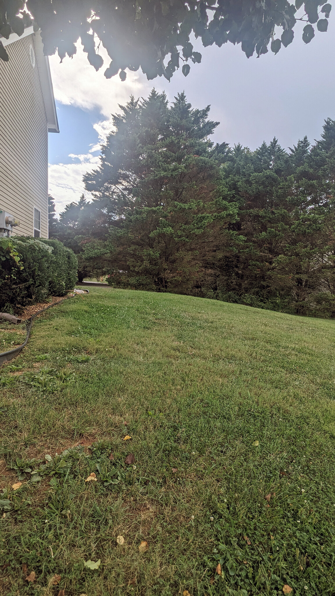 Building Photo - 711 Panther Creek Ct