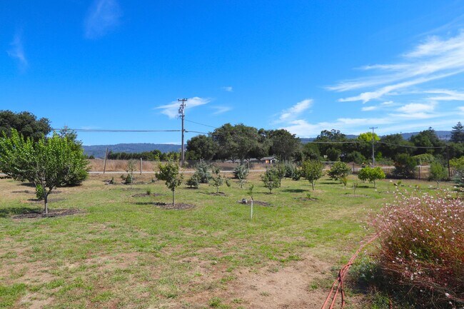 Building Photo - Watsonville: Tranquil Home & Ranch/Farm on...