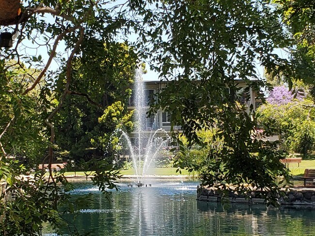 Building Photo - Stunning, large 1 bedroom at Woodlake