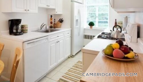 Building Photo - 18 Chauncy St