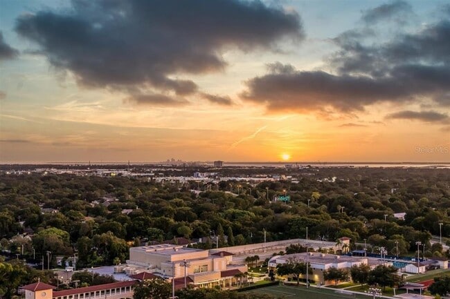 Building Photo - 3301 Bayshore Blvd