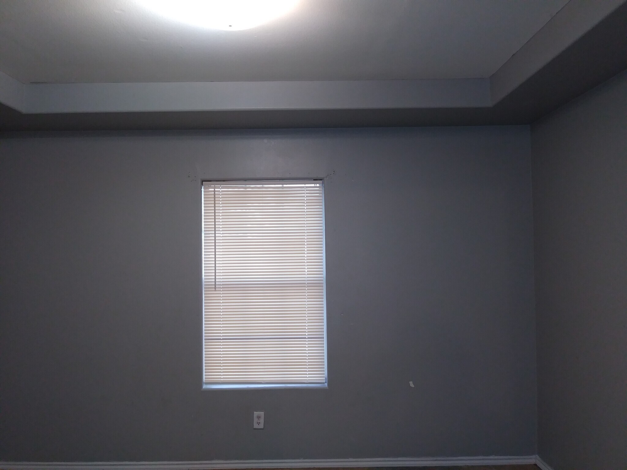 Room 2 - 2381 Hamburg St