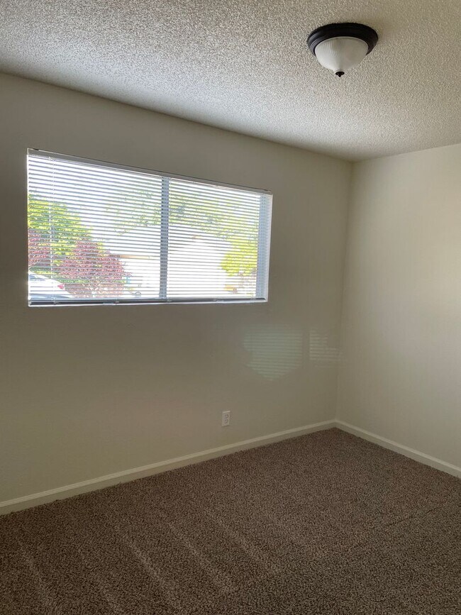 Building Photo - LOWER LEVEL 2 BED 1 BATH WITH FRESH PAINT AND NEW CARPET