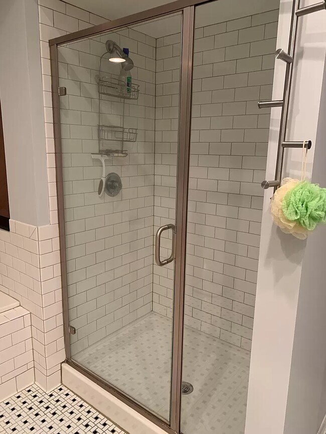 Master Shower - 111 Harries Street