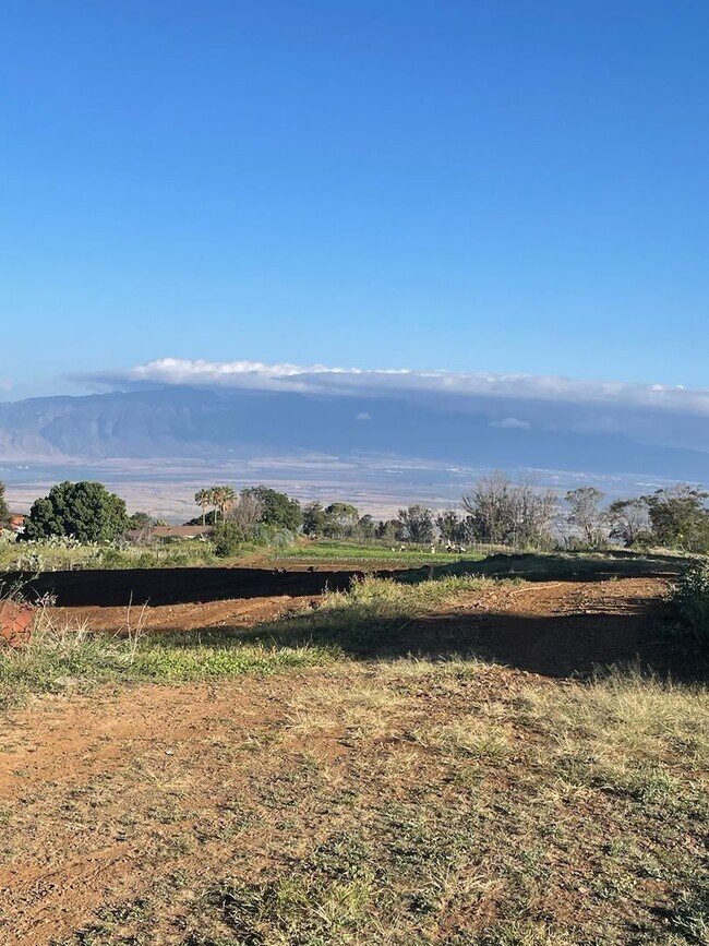 Building Photo - Gorgeous property on 1 plus acres in Kula