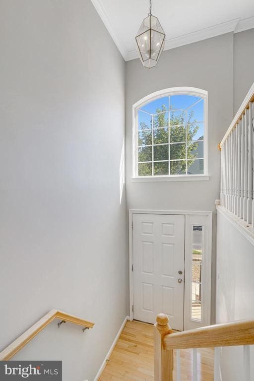 Building Photo - 6502 Trask Terrace