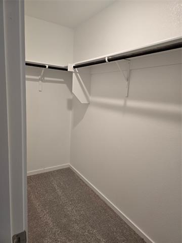 Building Photo - 1165 Barbary Flds St