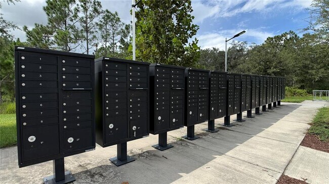 Building Photo - 648 Bloom Terrace