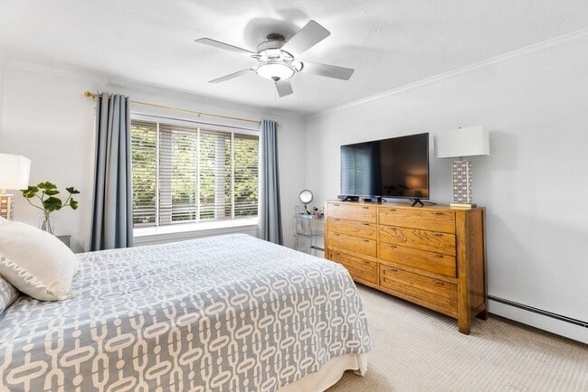 Building Photo - 84 Walpole St