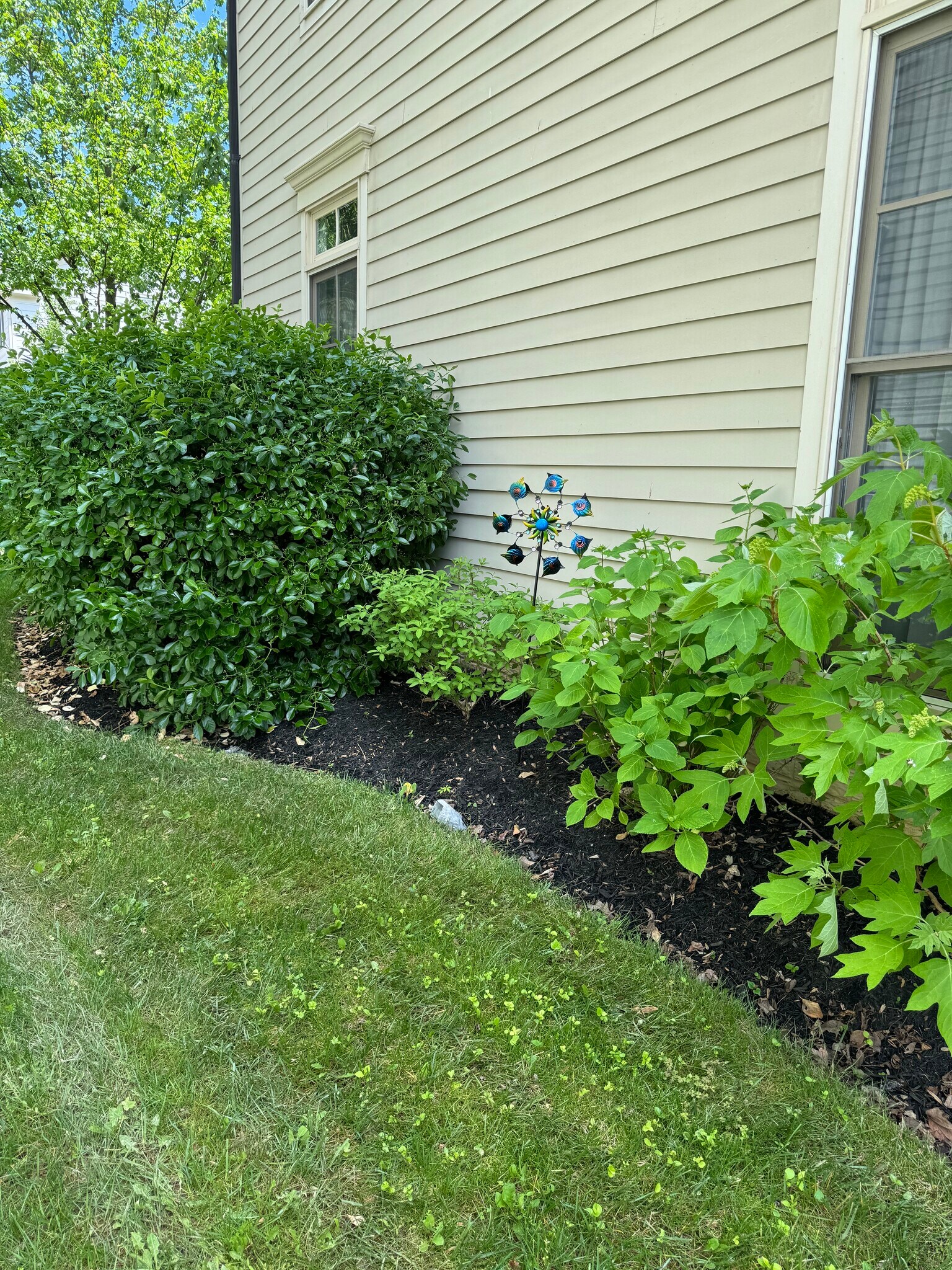 Building Photo - 11407 Iager Blvd