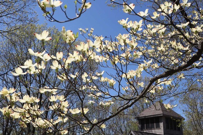 Building Photo - 74 Hilltop Rd