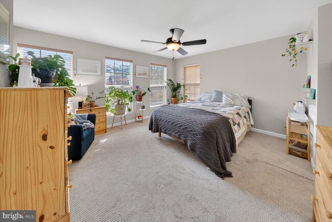 Building Photo - 725 Main St