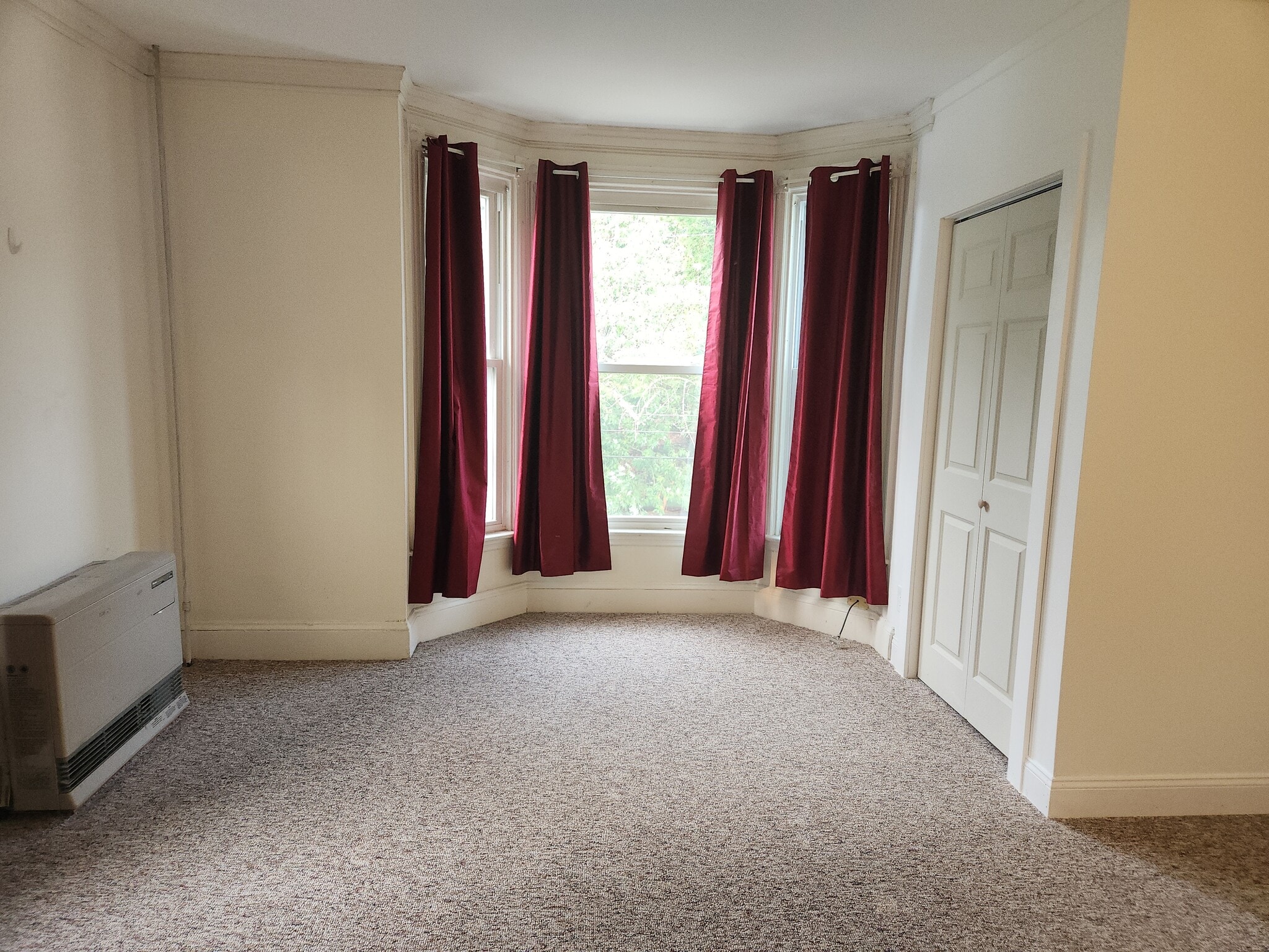 Spacious LR w/ gas heat - 261 Elm St
