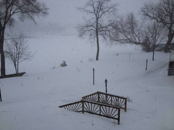 Winter Beauty - 231 N Fowler St