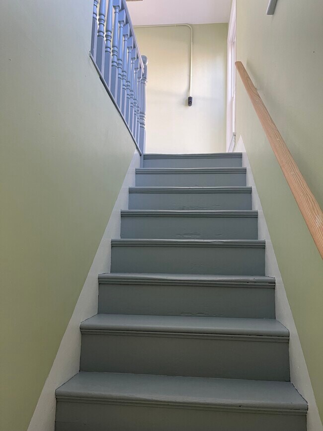 Unit2 Back Entrance Stairway - 101 Walnut St