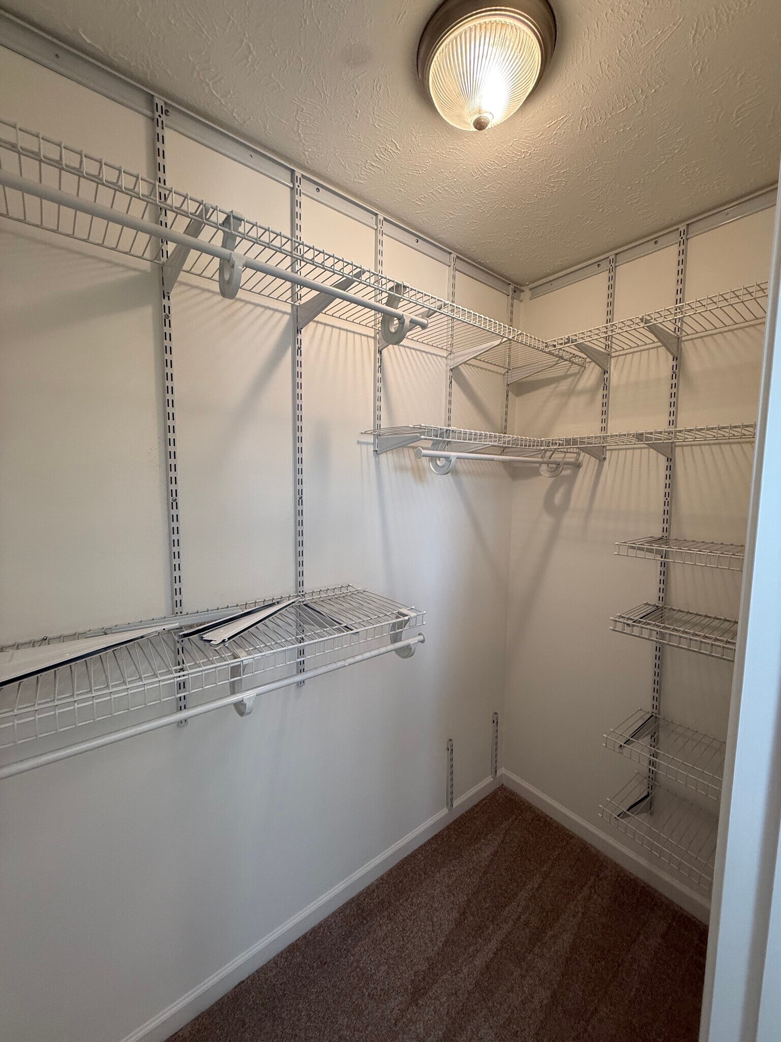 Building Photo - 2028 Shaylin Loop