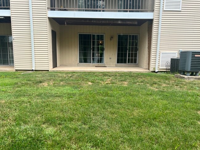 Rear Patio - 151 Valley Greene Cir