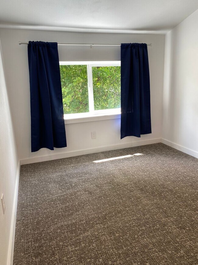 Building Photo - Newly Remodeled Single Family Home in Reardan, WA! Available Now!