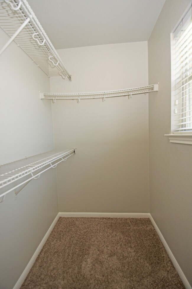 Building Photo - Large Home in Northeast Austin!