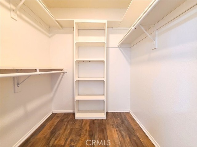 Building Photo - 1077 S Santo Antonio Dr