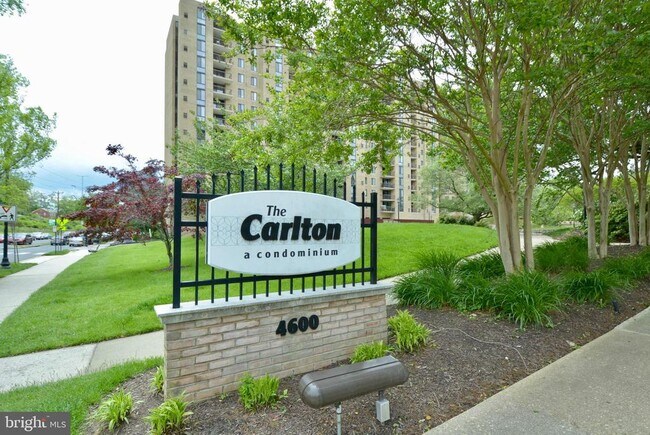 Building Photo - 4600 S Four Mile Run Dr