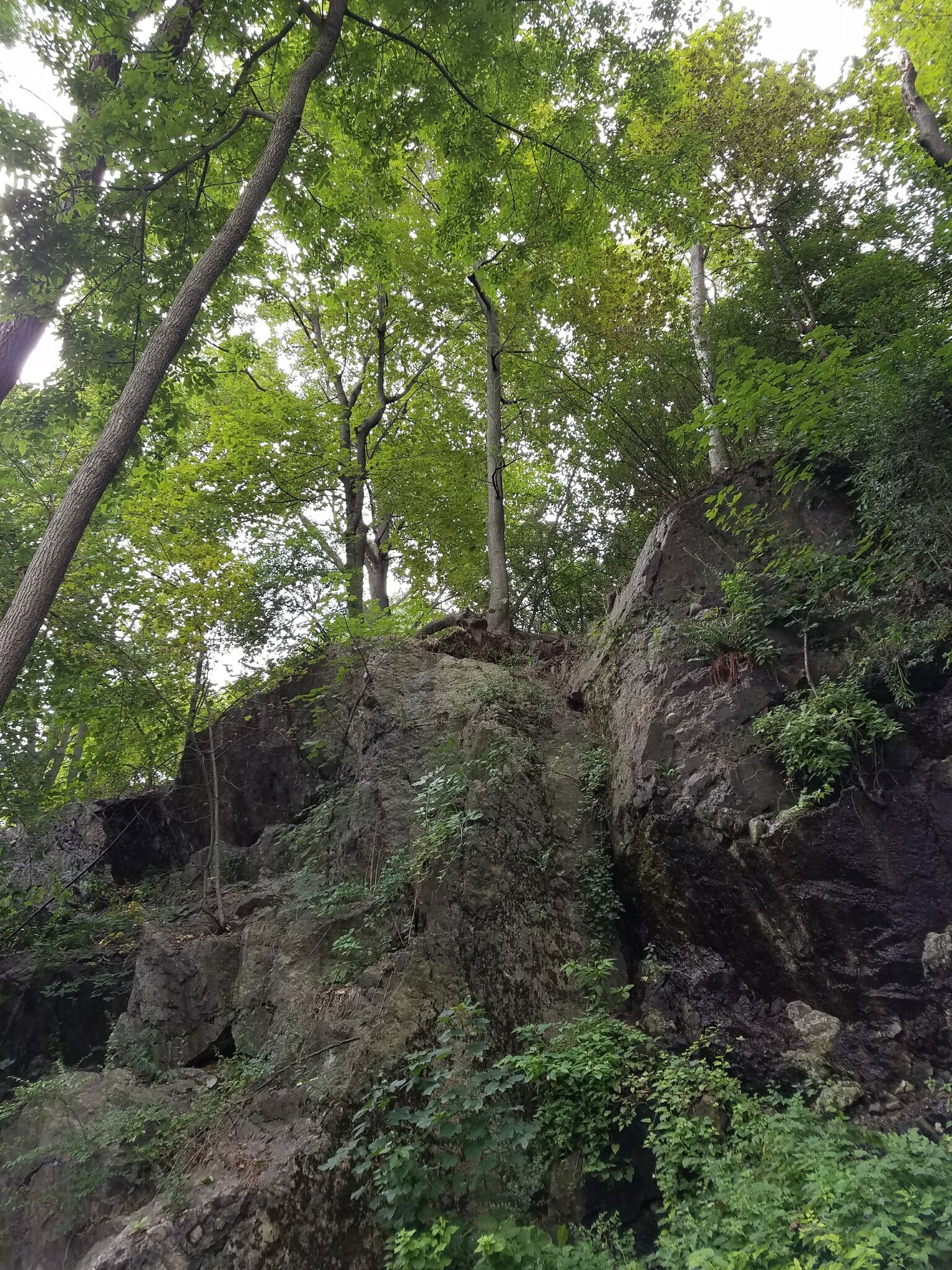 Building Photo - 21 Saint Peter St