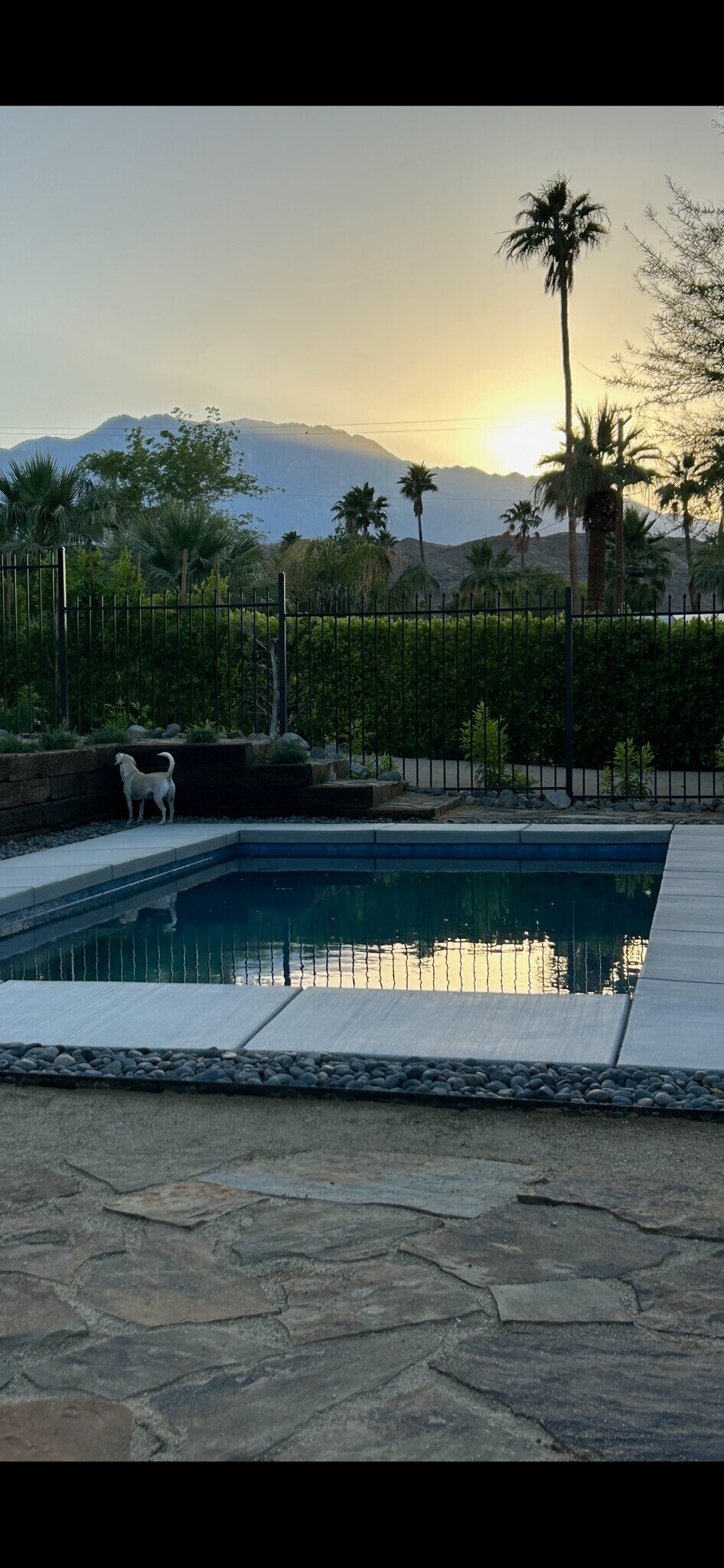 Building Photo - 37910 Palo Verde Dr