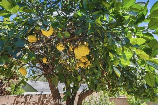 Building Photo - 2608 Balfour Ave