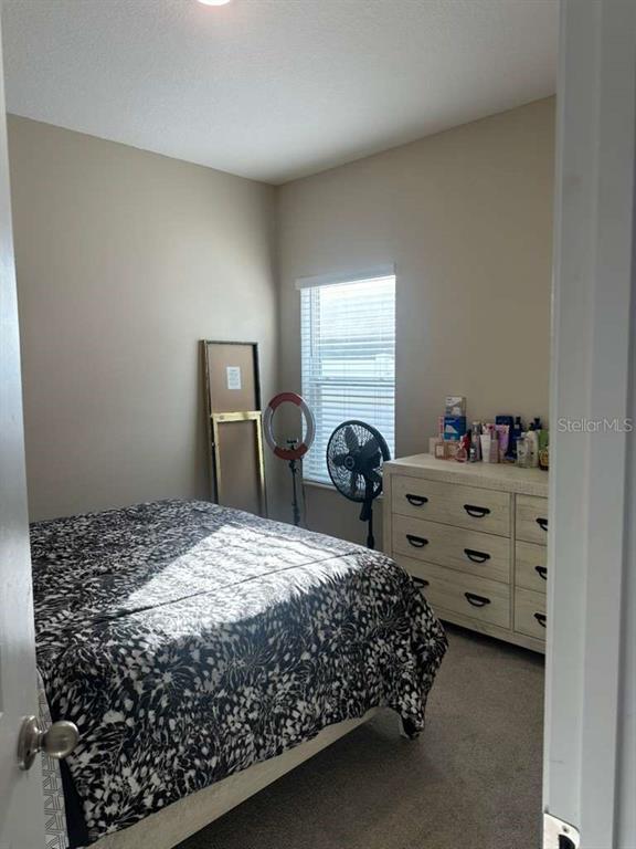 Building Photo - 441 Disa Dr