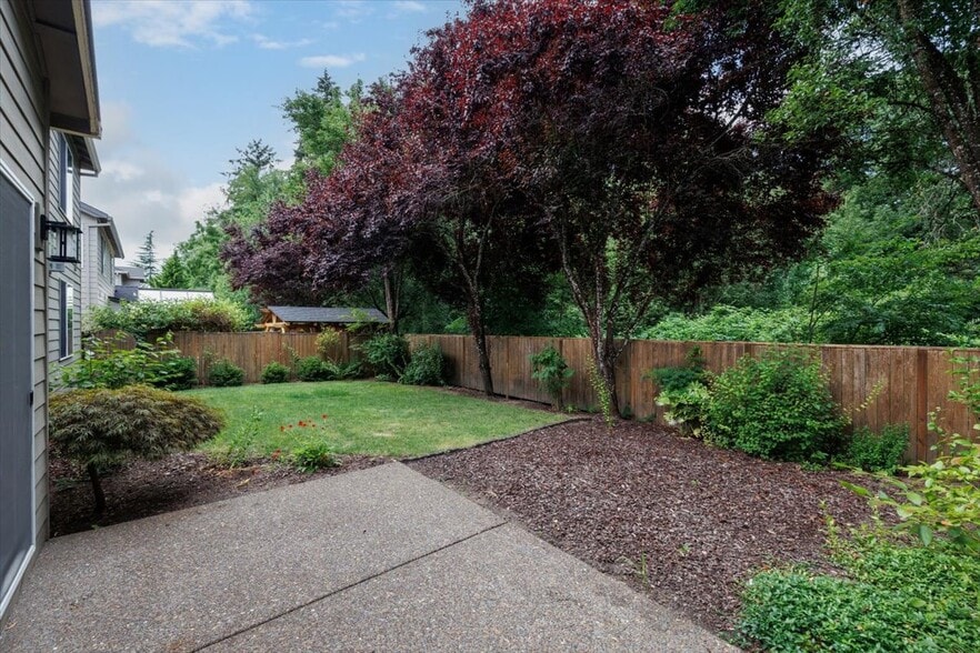 Small Forest at Rear of Property - 281 N Royal Oak St