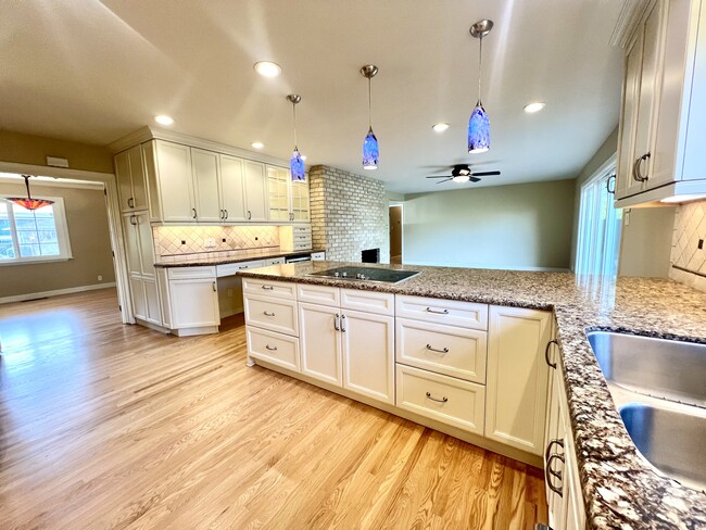 Building Photo - 3799 El Campo Ct