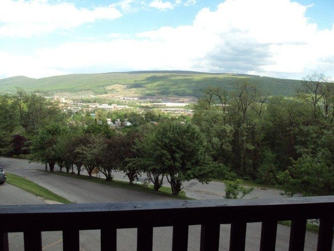 View from balcony - 210 Ridge Ave