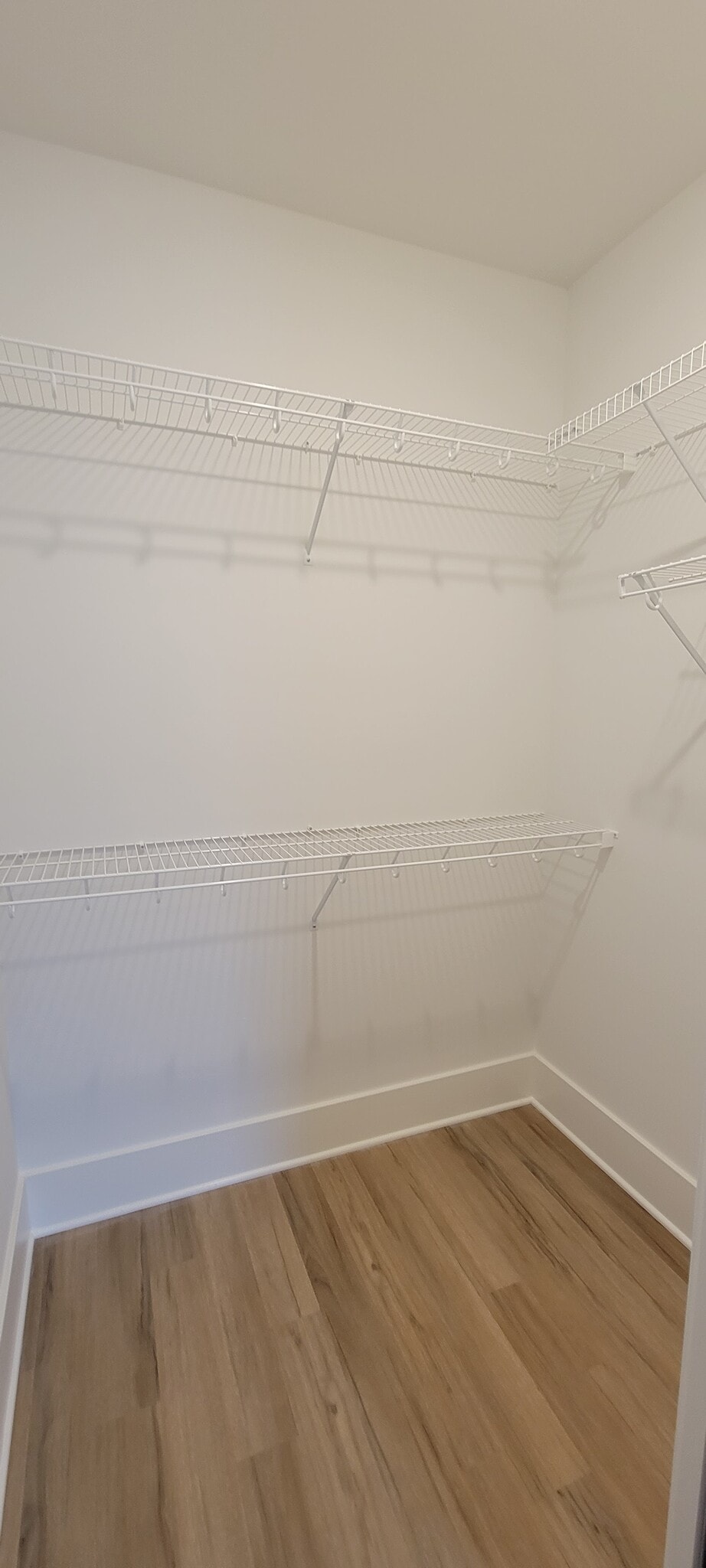 Building Photo - 10932 Monkshood Dr