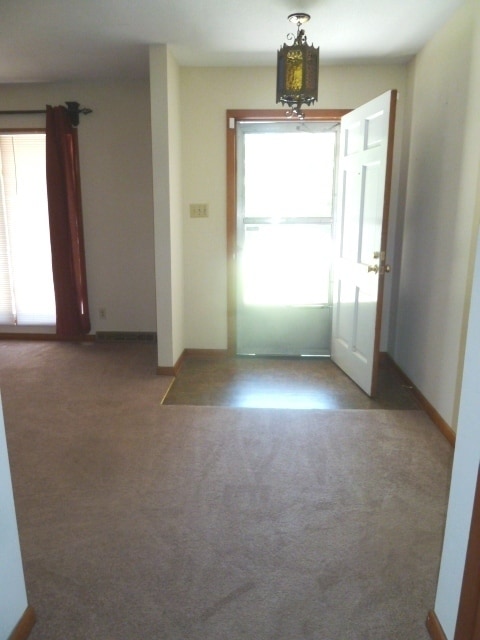 Building Photo - Walk to Campus! Incredible location, amazi...