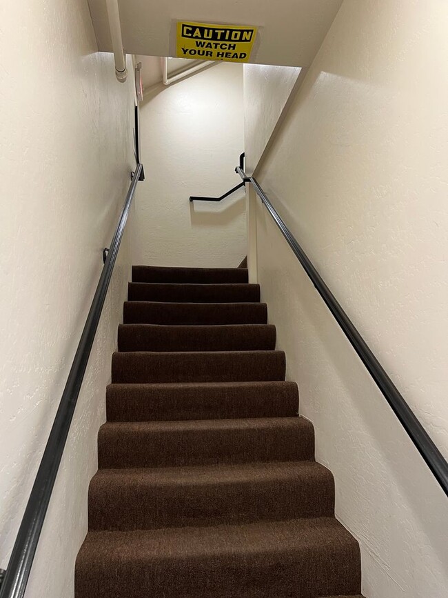 Building Photo - Golden Nugget Apartment